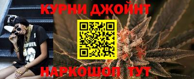 СК Гатчина