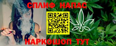 СК Гатчина