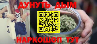 СК Гатчина