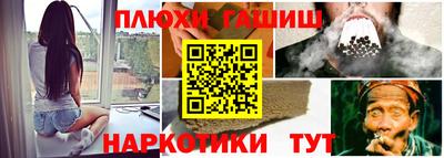 СК Гатчина