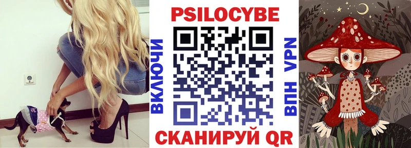 закладка  Кузнецк  Псилоцибиновые грибы мухоморы 