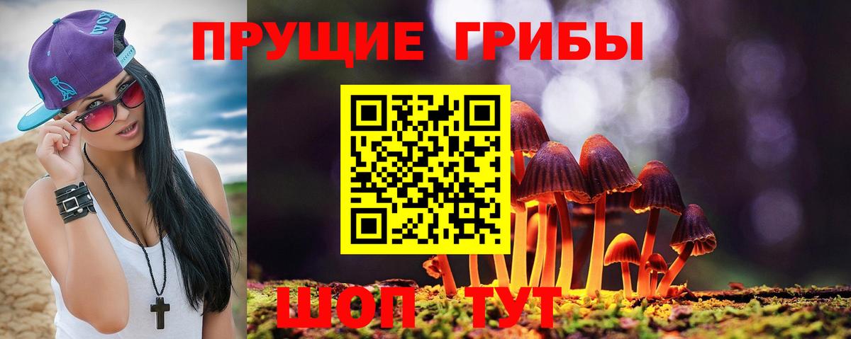 Кузнецк  Псилоцибиновые грибы мицелий  Галлюциногенные грибы Psilocybe  Вход с VPN 