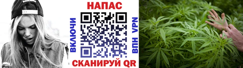 сколько стоит  Кузнецк  Бошки марихуана конопля 