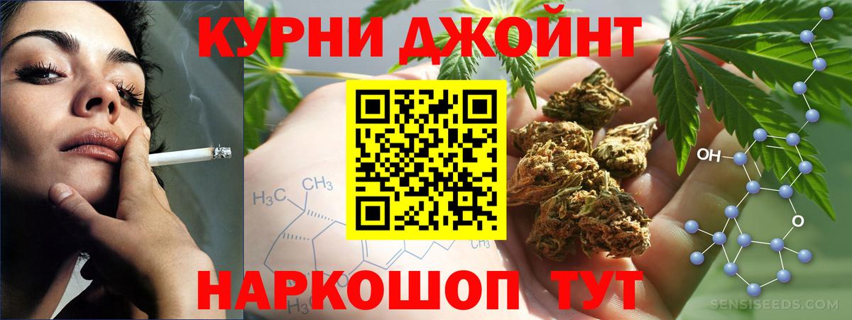 Бошки Шишки семена Кузнецк